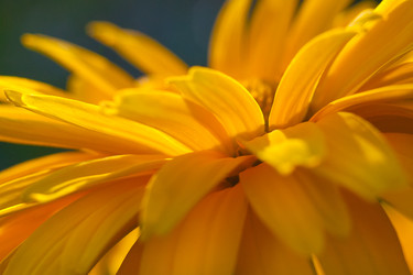 Similar image 22158444