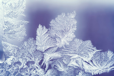 Similar image 22158448