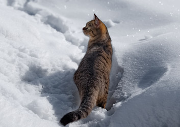 Similar image 22164132