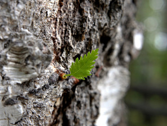 Similar image 22160262