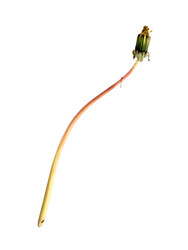 Similar image 22159235