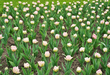 Similar image 22159237