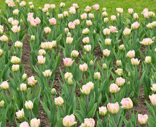 Similar image 22159245