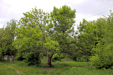 Similar image 22160280