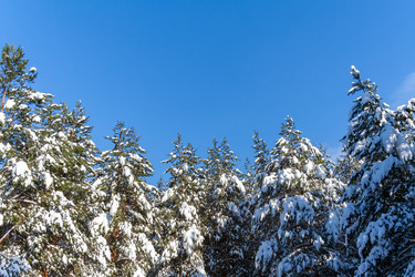 Similar image 22159646