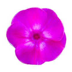 Similar image 22159648