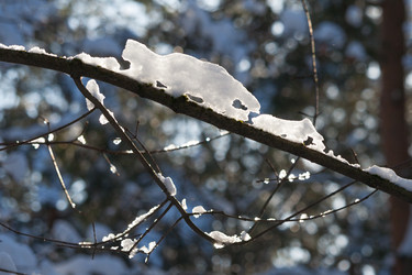 Similar image 22159658