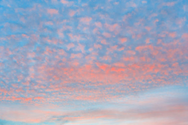 Similar image 22159659