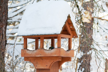 Similar image 22159660