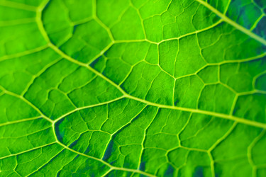 Similar image 22159664