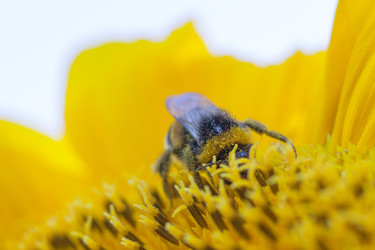 Similar image 22159672