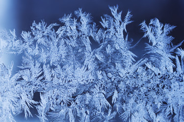 Similar image 22159678