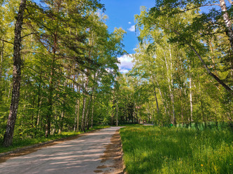 Similar image 22159298