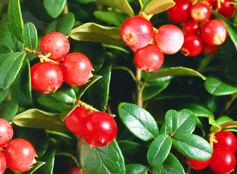 Similar image 22159901