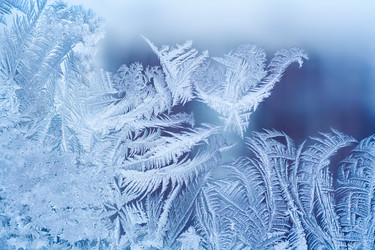 Similar image 22160288