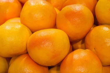 Similar image 22165555