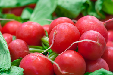 Similar image 22165559