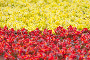 Similar image 22165564