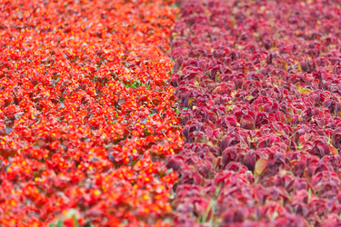 Similar image 22165580