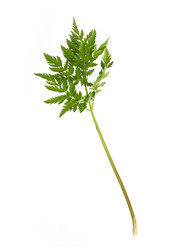 Similar image 22159970