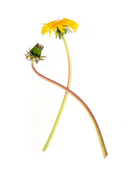 Similar image 22159973