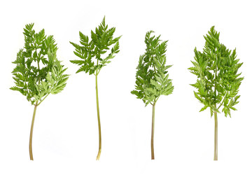 Similar image 22159974