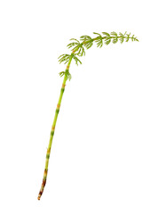 Similar image 22159975