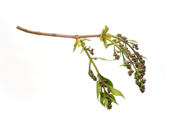 Similar image 22159977