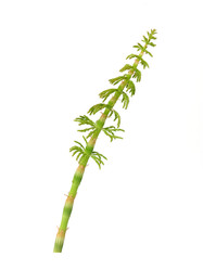 Similar image 22159978