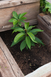 Similar image 22159981