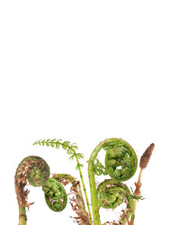 Similar image 22159984