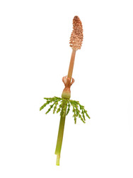 Similar image 22159985