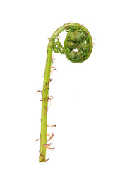 Similar image 22159986