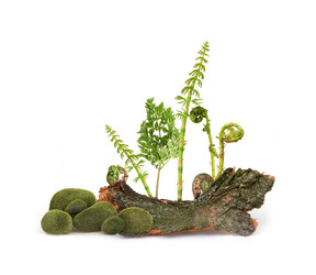 Similar image 22159988