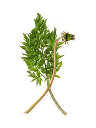 Similar image 22159990