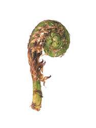 Similar image 22159992