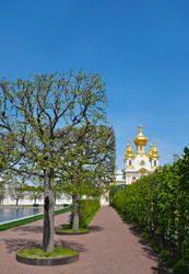 Similar image 22160001