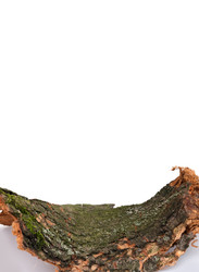 Similar image 22160021