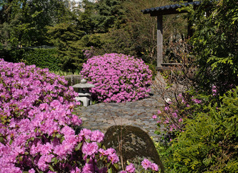 Similar image 22160026