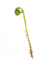 Similar image 22160027