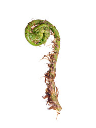 Similar image 22160028