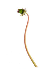 Similar image 22160031