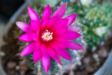 Similar image 22160299