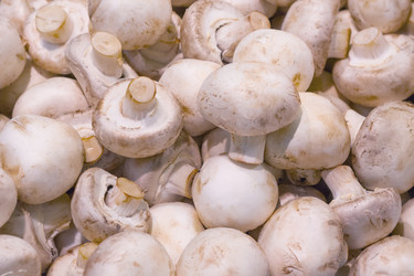 Similar image 22160301