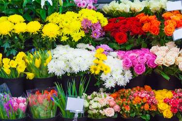 Similar image 22160314