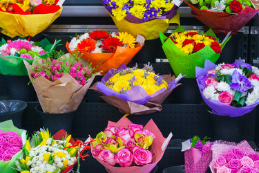 Similar image 22160316