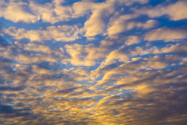 Similar image 22160336