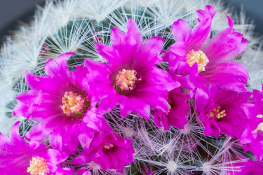 Similar image 22160337