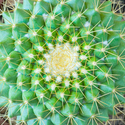 Similar image 22160340