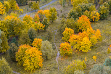 Similar image 22160347